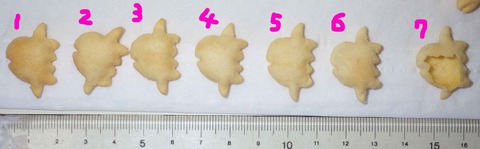 IMGP6056 - コピー