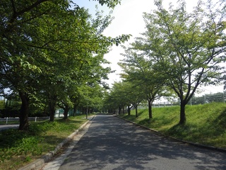 2c5b3c32.jpg