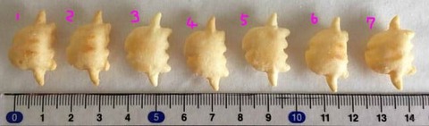 ED_6J-pVUAE5dUV - コピー