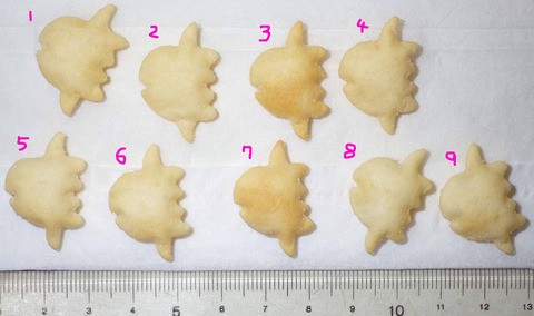 IMGP6111 - コピー