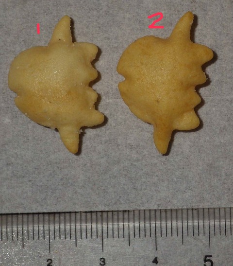 IMGP7229 - コピー