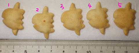 IMGP6120 - コピー