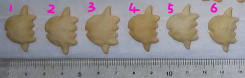 IMGP6066 - コピー