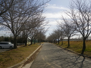 72e965f1.jpg