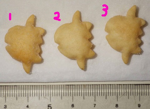 IMGP6048 - コピー