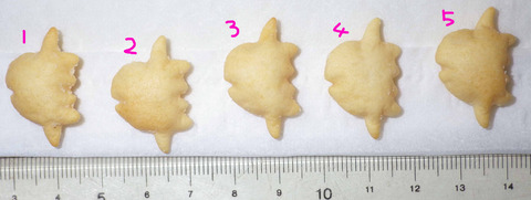 IMGP6226 - コピー