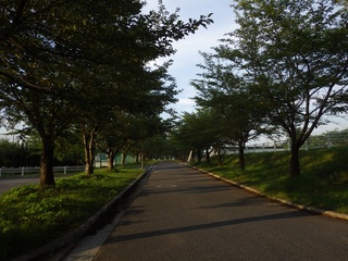 8519f37f.jpg