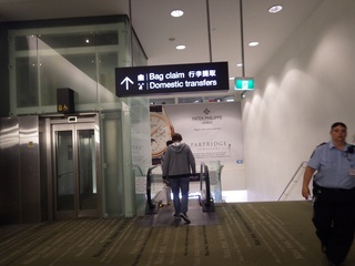 8750173f.jpg