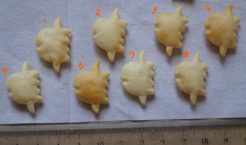 IMGP7188 - コピー