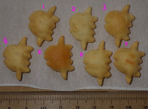 IMGP7097 - コピー