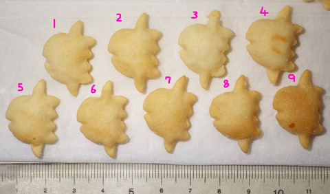 IMGP6374 - コピー