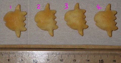 IMGP7090 - コピー