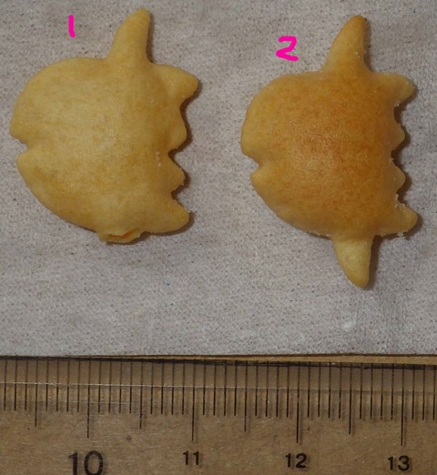 IMGP7361 - コピー