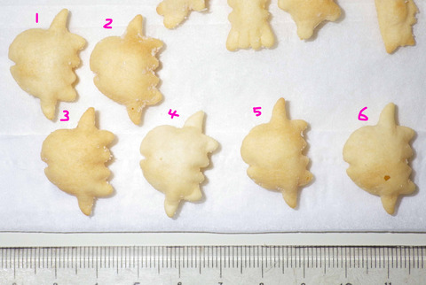 IMGP6378 - コピー