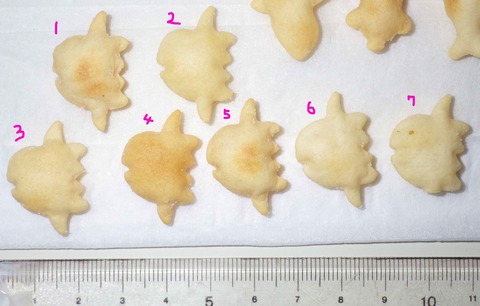 IMGP6361 - コピー