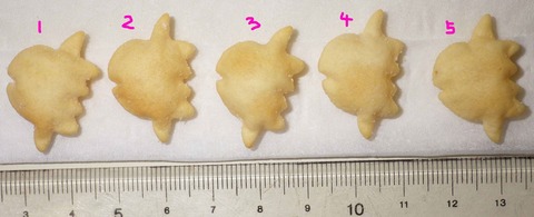 IMGP6364 - コピー