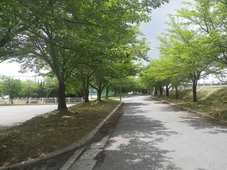 e324b668.jpg