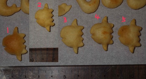 IMGP7221 - コピー