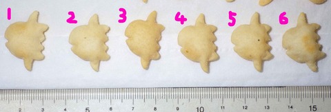 IMGP6037 - コピー