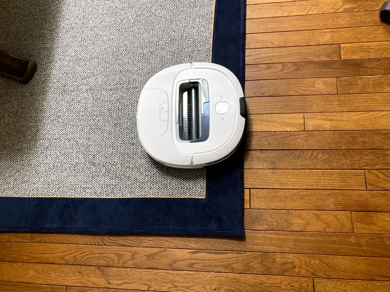 ロボット掃除機のカーペット対応 うしおのブログ