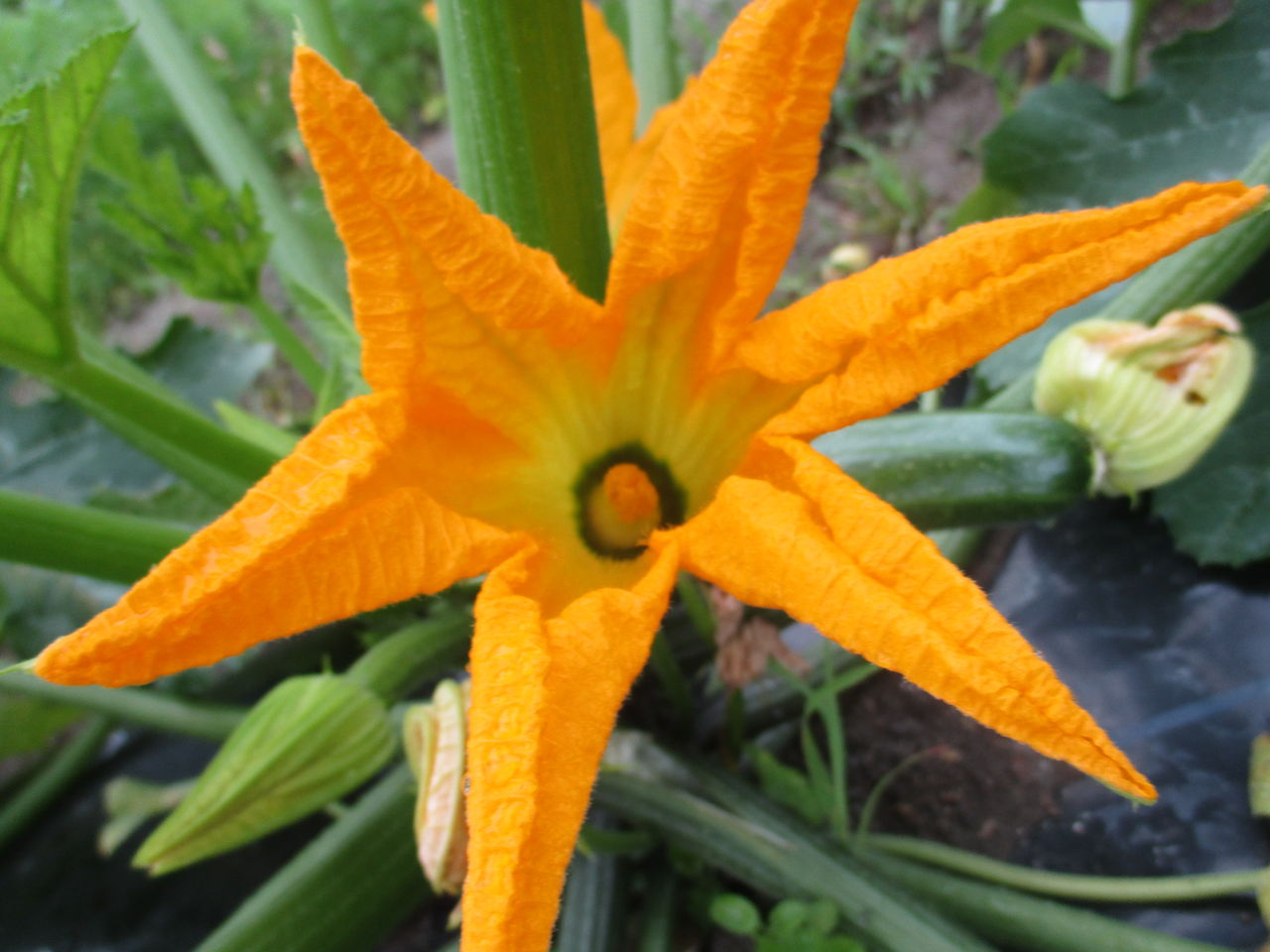 雨が降る前に 牛尾農場ブログ