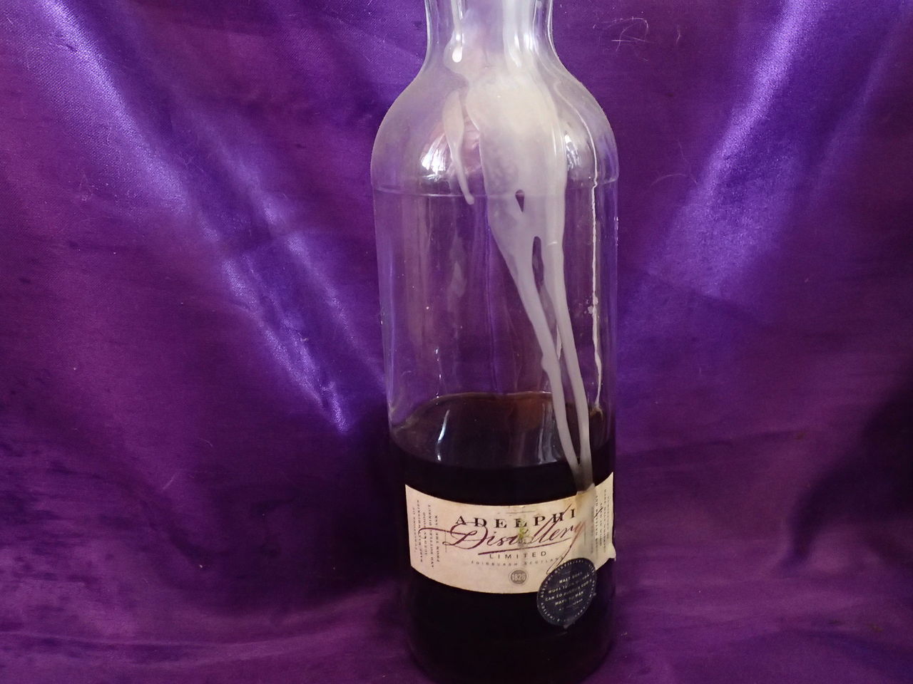 スプリングバンク32年 アデルフィ : 幻の桜