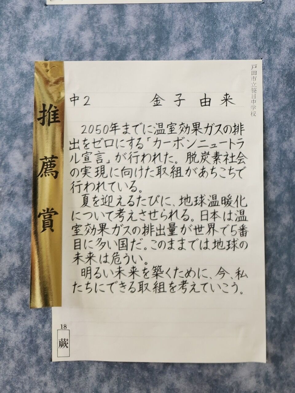 専用ページです 令和7年埼玉県硬筆展覧会 小1・小3 手本 （専用