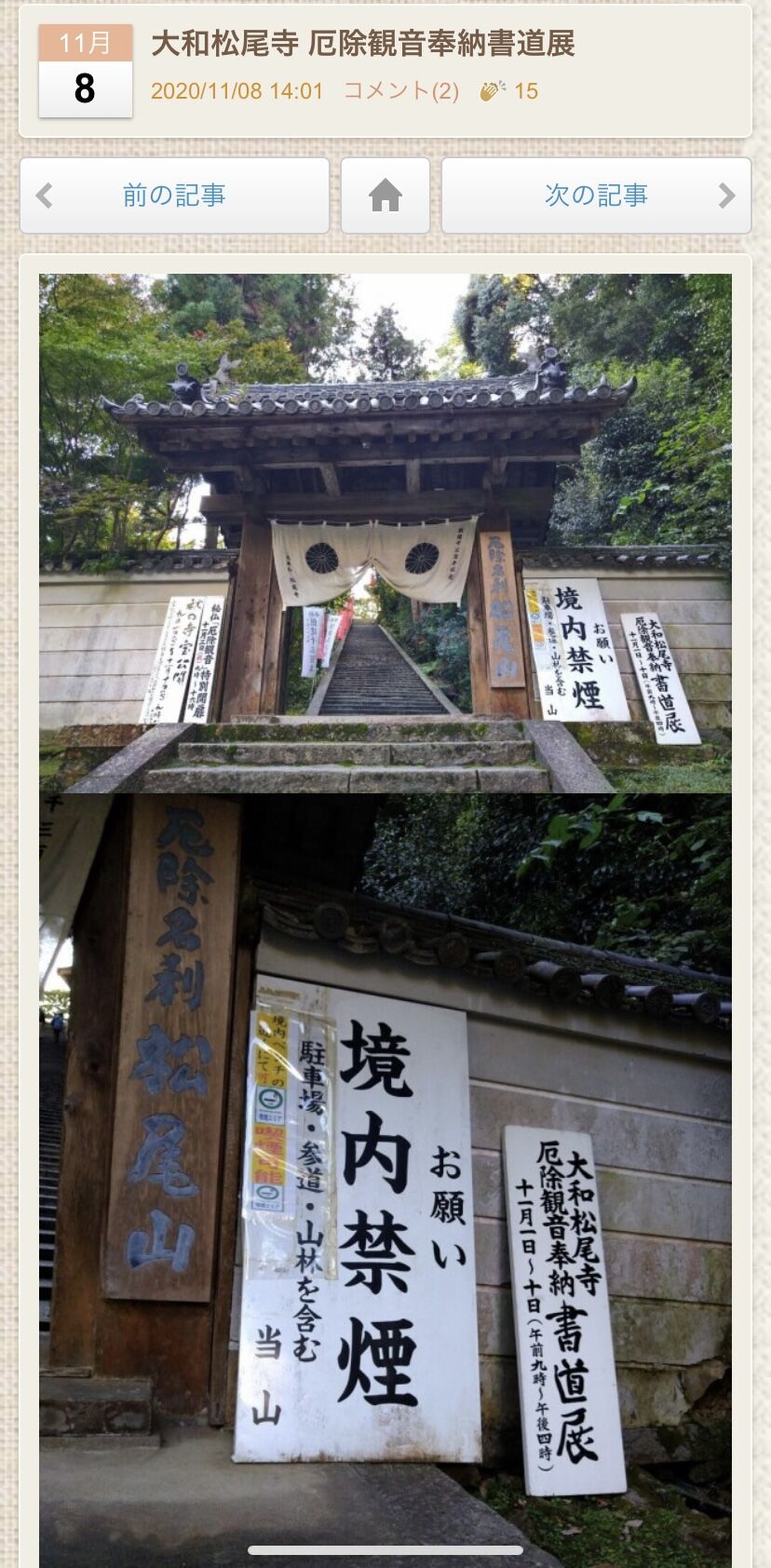 書家 しんらん 炎流 掛軸 厄除け 魔除け 書道作品 楽天市場】掛け軸【縁起画：龍虎雷轟厄除図/3MD5-036】丈164cm