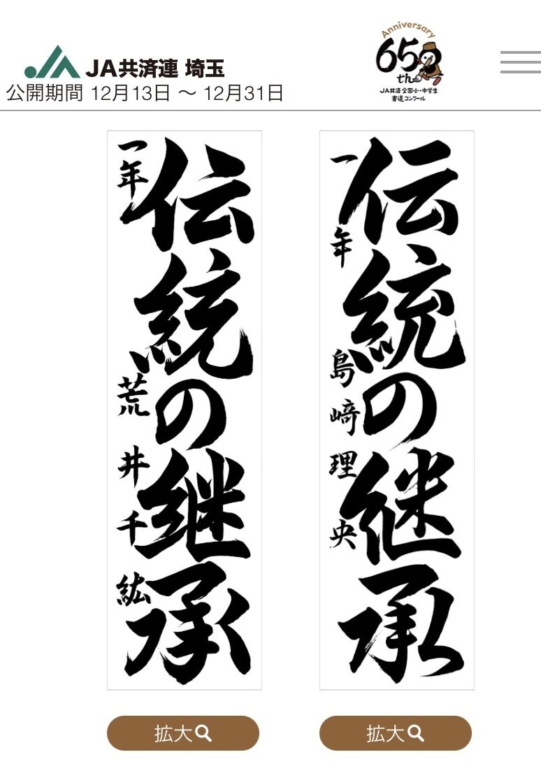 活動歴および当時の関連ビジュアル記録