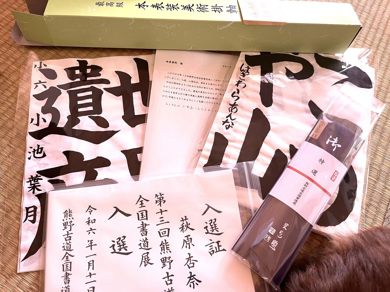 活動歴および当時の関連ビジュアル記録