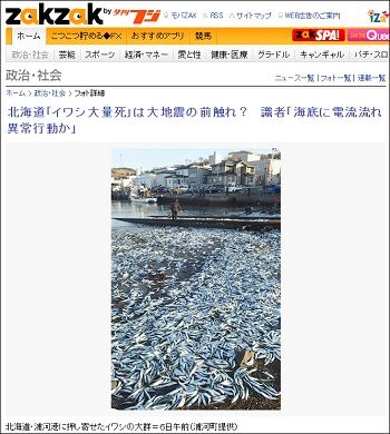 sardines_2