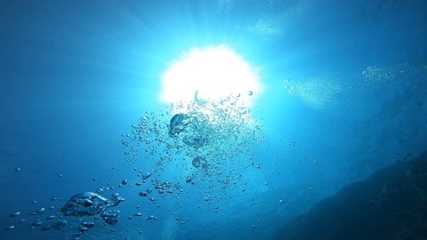 【閲覧注意】ヤクザに拉致され海へ沈められたド○えもんが発見される・・・