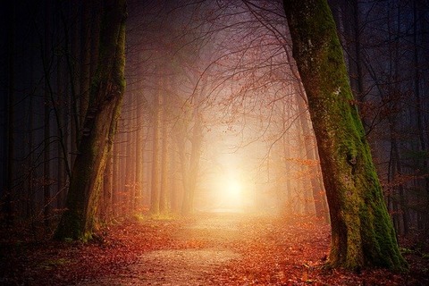 nature-3151869_640
