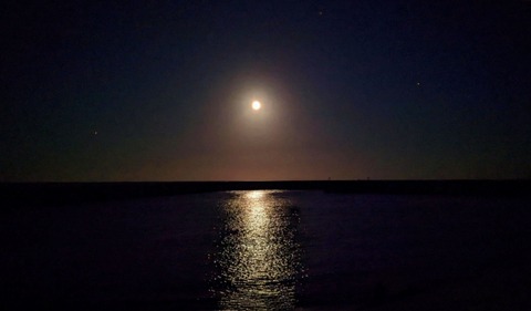 三浦春馬が自殺した本当の理由・・・・・