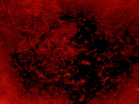 【閲覧注意】くっそキモイ生物、見つかる…お前らの想像する何倍もキモイ