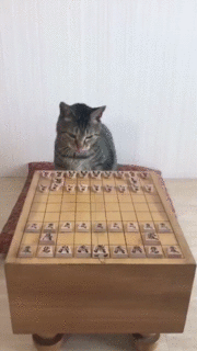 6dOEYQR