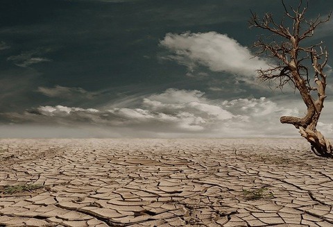 desert-279862_640