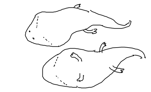 livejupiter-1602763266-41-490x300