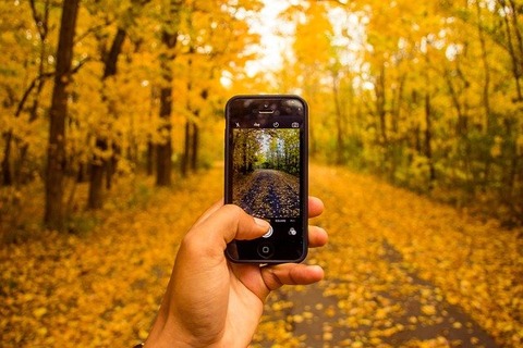 phone-1031194_640