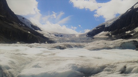 シベリアの永久凍土で凍っていた虫さん、4万年の眠りからお目覚めしてしまうｗｗｗｗｗ