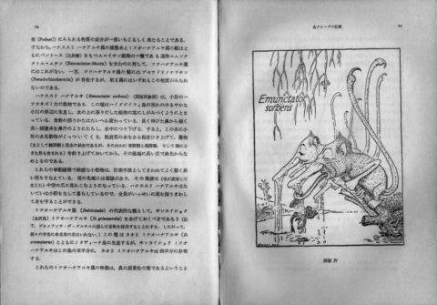image8