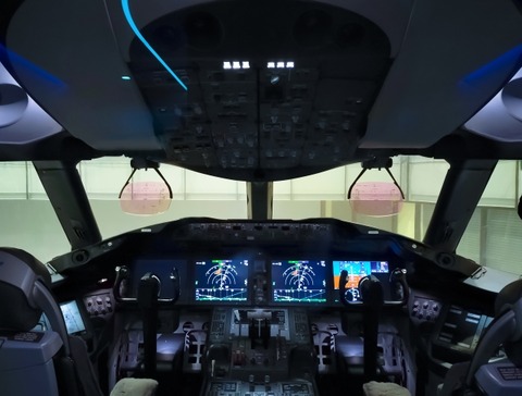 【悲報】見習いパイロットさん、飛行中に教官が心臓麻痺で死ぬもそういうテストだと思って飛行継続してしまう……