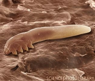20121015133303