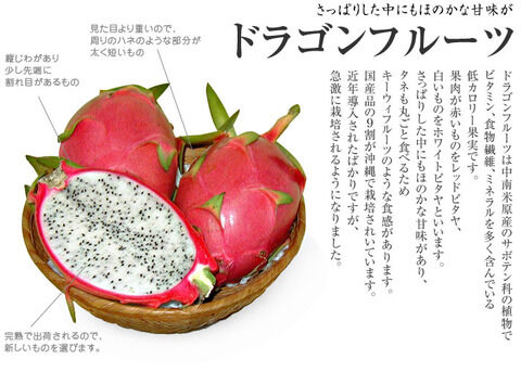 food134
