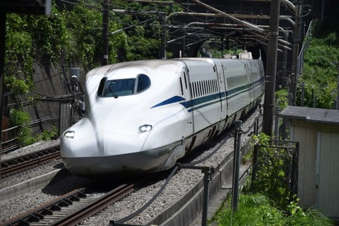 【悲報】通報者「いやあああ！変な人が新幹線にいるのおおお！」→機動隊が突入した結果・・・・・