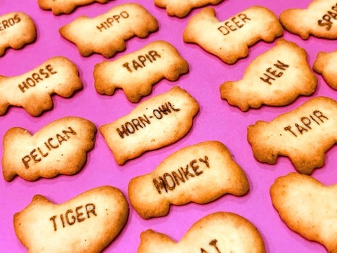 【画像】たべっ子どうぶつの正体不明のどうぶつ、名前が判明する