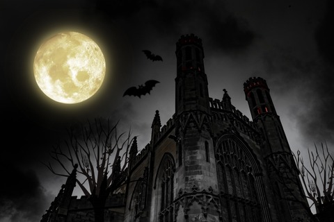 【悲報】韓国の梨泰院ハロウィン事件、国際問題へ。米下院議員の姪など外国人多数死亡