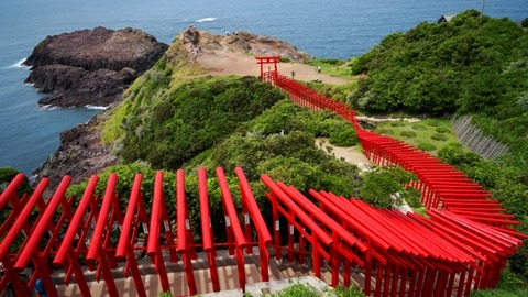 【画像】すんごい鳥居の神社にきた・・・・