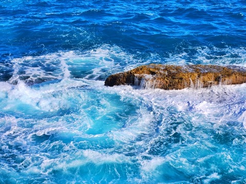 【悲報】津波を舐めた女さん、無事死亡