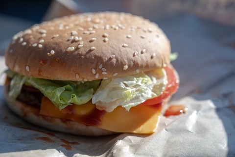 【画像】アメリカ人「日本人さぁ、なんだいこのハンバーガー(笑)は？w赤ちゃんの離乳食かい？w」ワイ「…」